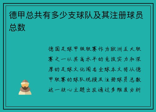 德甲总共有多少支球队及其注册球员总数