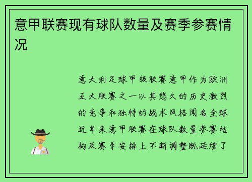 意甲联赛现有球队数量及赛季参赛情况